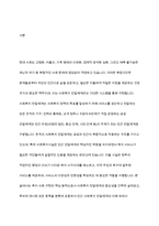 사회복지 민간전달체계 중 사회복지시설에 대해서 아래의 형식에 맞춰서 내용을 작성-2