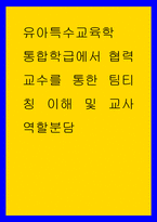 유아특수교육학 ) 통합학급에서 협력교수를 통한 팀티칭 이해 및 교사 역할분담-1