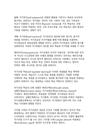 AI 시대를 선도하는 반두라 사회학습이론의 주요 개념과 현대적 적용(디지털 원주민 세대를 위한 메타 러닝의 새로운 패러다임)-11
