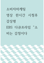 소비자마케팅 ) 영상 한시간 시청후 감상평 - EBS 다큐프라임 소비는 감정이다-1