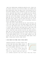 원예학 ) 1 원예를 어원을 토대로 정의하라 2 작문의 구성체제를 세포, 조직, 기관 수준에서 논의하라 3 광도와 광합성 속도의 관계를 그래프로 나타내고 설명하라-4