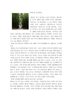 한국사 교양 ) 내가 직접 해설사가 되어서 하나의 유적을 선정하여 설명하는 것입니다-3