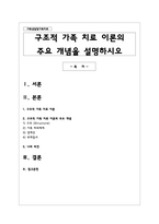 구조적 가족 치료 이론의 주요 개념을 설명하시오-1
