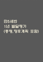 만5세 발달평가 1년치 (5개영역 발달평가)-1