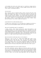 K팝 아이돌 악마를 사냥하다 K팝 데몬 헌터스` 그 빛과 그림자 그리고 한국 문화 콘텐츠의 확장-2