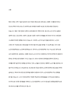한국 노인지원정책의 문제점과 발전방향-2