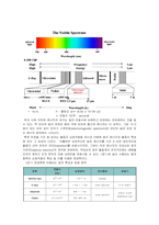 [효소공학실험] Lowry법에 의한 조단백질정량-4