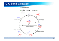 [대학원 세미나] Hydrodealkenylative C(sp³)–C(sp²) bond fragmentation 발표-8