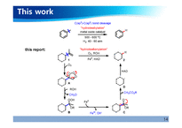 [대학원 세미나] Hydrodealkenylative C(sp³)–C(sp²) bond fragmentation 발표-14