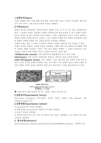 [물리화학실험] 겉보기 밀도 측정 예비리포트-1