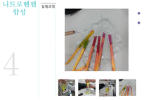 [유기화학실험] Nitrobenzene 합성 발표-10