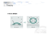 [유기화학실험] 유기화학실험 발표-8