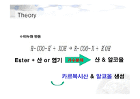 [유기화학실험] 유기화학실험 발표-10