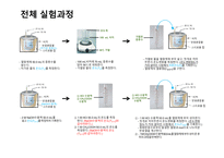 [일반화학 및 실험] 반응열 측정하기-16