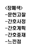 장폐색 연구레포트 - 장폐색 문헌고찰과 간호사정,간호계획,간호중재 및 느낀점-1
