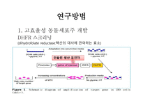 [바이오산업실무] 동물세포를 이용한 인슐린 대량생산 연구개발 최종목표-4