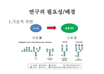 [바이오산업실무] 재조합 인슐린 고생산성 동물세포주 개발 연구계획서-2