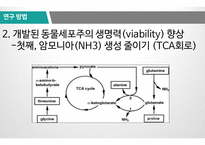 [바이오산업실무] 재조합 인슐린 고생산성 동물세포주 개발 종합 발표-11