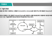 [바이오산업실무] 재조합 인슐린 고생산성 동물세포주 개발 종합 발표-16