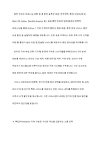 전기자동차, 휴대폰 등 각종 제품이나 서비스 중 하나를 골라서 효과적인 마케팅 믹스를 생각해보자-8