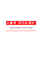 삼성생명 자산운용직 자기소개서, 면접자료-1