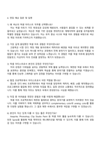 2025 넥슨코리아 픽셀 아티스트 자기소개서 지원서와 면접질문-4