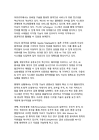 디지털 전환 시대의 지속가능발전목표(SDGs) 달성을 위한 통합적 정책 연구-13