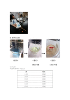 [분석화학실험] EDTA적정 결과레포트-7