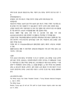 2025년 2학기 중간과제 국제정책 및 통상갈등-3