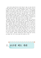 [교육학] 특수교원보조원 제도 활용의 효과 및 대안-2