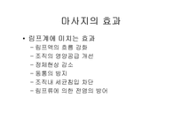[미용] 마사지의 효과 oe-16