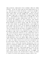 [생산관리,경영,6시그마 사례,6시그마 국내사례,6시그마 국외사례,Six Sigma](A+맞은레포트)[생산관리] 6시그마경영대해서(국내사례와 국외사례)(결론과나의생각)-5