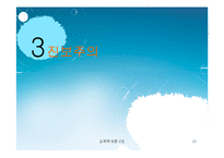 [교육학] 현대의 교육철학fp-10