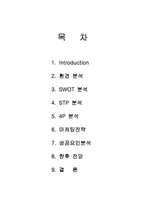 [마케팅] 싸이월드(CYWORLD)의 마케팅전략과 성공요인분석-1