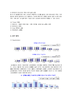 [마케팅] 싸이월드(CYWORLD)의 마케팅전략과 성공요인분석-13