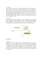 [마케팅] 싸이월드(CYWORLD)의 마케팅전략과 성공요인분석-14