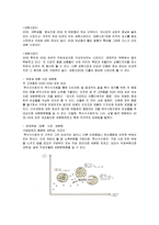 [마케팅] 광동제약 옥수수수염차의 마케팅전략과 성공요인-11