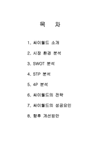 [경영전략] 싸이월드의 전략과 성공요인-1