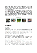 [경영전략] 싸이월드의 전략과 성공요인-8