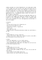 [경영전략] 싸이월드의 전략과 성공요인-10