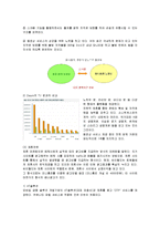 [경영전략] 싸이월드의 전략과 성공요인-18