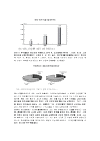 [마케팅] 다국적기업 닌텐도(Nintendo)의 마케팅전략-6