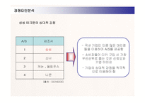 [경영전략] 삼성 디지털카메라 케녹스의 새로운 전략수립-14