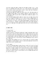 [경영전략] 온라인 커뮤니케이션 싸이월드의 경영전략분석-8