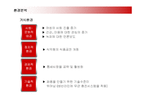 [마케팅] 옥수수수염차의 마케팅과 향후 전략-9