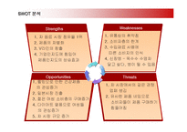 [마케팅] 옥수수수염차의 마케팅과 향후 전략-17