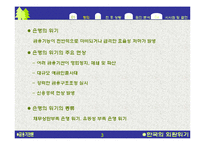 한국의 1998년 은행위기-3