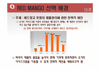 [마케팅] 레드망고(Red Mango) 마케팅전략-8
