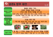 [마케팅] 레드망고(Red Mango) 마케팅전략-15