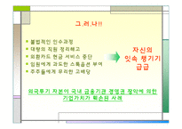 [경영학] 외국자본의 현 상황과 시사점-12